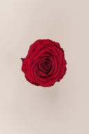 Rose Premium - Box 4 heads
