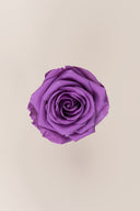 Rose Premium - Box 4 heads