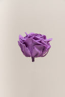 Rose Premium - Box 4 heads