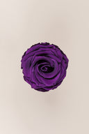 Rose Premium - Box 4 heads