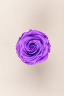 Rose Premium - Box 4 heads