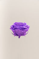 Rose Premium - Box 4 heads