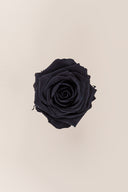 Rose Premium - Box 4 heads