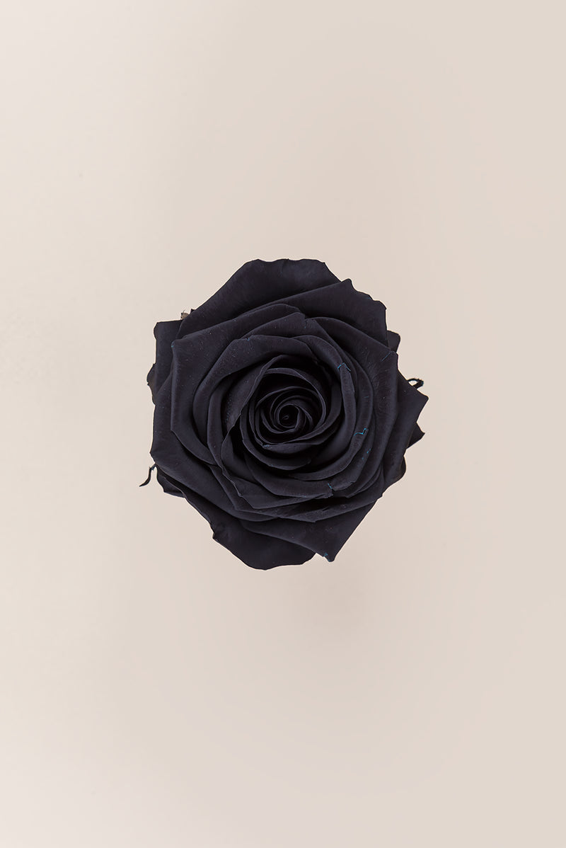 Rose Premium - Box 4 heads