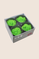Rose Premium - Box 4 heads
