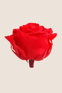 Rose Premium - Box 4 heads
