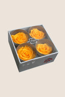 Rose Premium - Box 4 heads