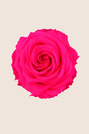 Rose Premium - Box 4 heads