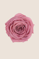 Rose Premium - Box 4 heads