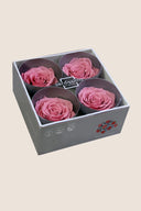 Rose Premium - Box 4 heads
