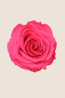 Rose Premium - Box 4 heads