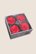 Rose Premium - Box 4 heads