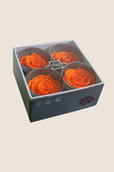Rose Premium - Box 4 heads