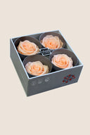 Rose Premium - Box 4 heads