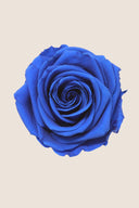 Rose Premium - Box 4 heads