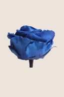 Rose Premium - Box 4 heads