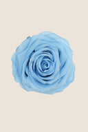 Rose Premium - Box 4 heads