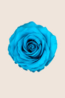 Rose Premium - Box 4 heads