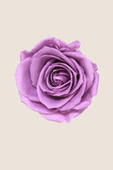 Rose Premium - Box 4 heads