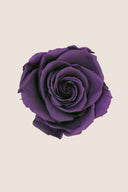 Rose Premium - Box 4 heads