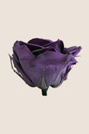 Rose Premium - Box 4 heads
