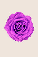 Rose Premium - Box 4 heads