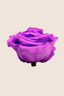Rose Premium - Box 4 heads