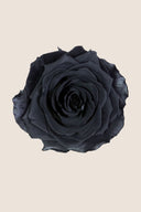 Rose Premium - Box 4 heads