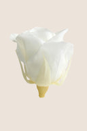 Rose Mini Bulk - Pack 288 u.