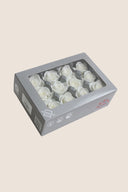 Rose Mini - Box 12 heads