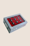 Rose Mini - Box 12 heads