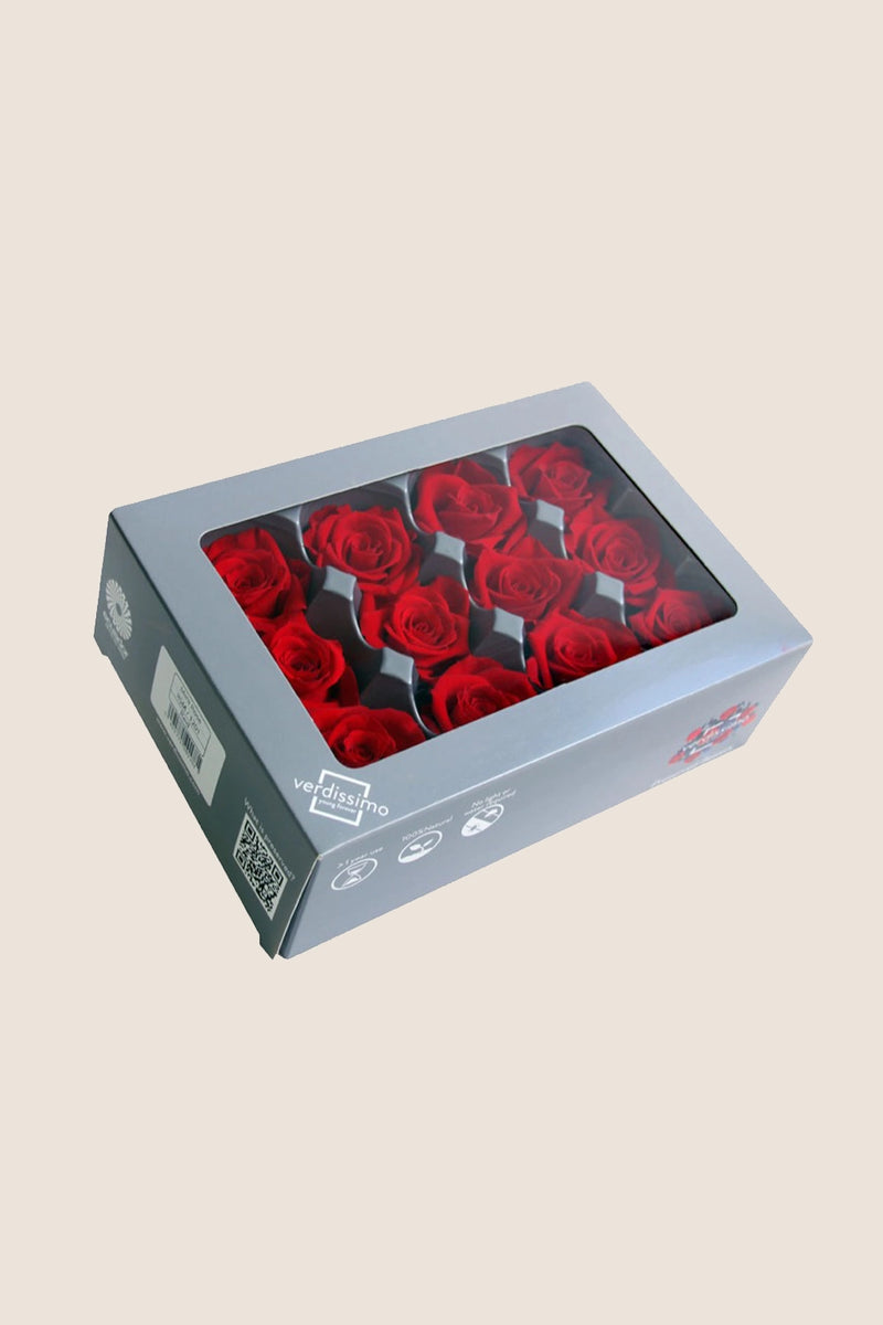 Rose Mini - Box 12 heads