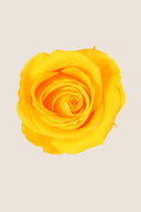 Rose Mini Bulk - Pack 288 u.