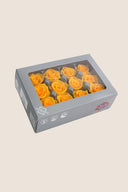 Rose Mini - Box 12 heads