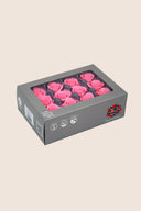 Rose Mini - Box 12 heads