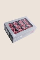Rose Mini - Box 12 heads