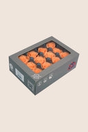 Rose Mini - Box 12 heads