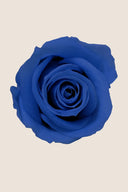 Rose Mini Bulk - Pack 288 u.