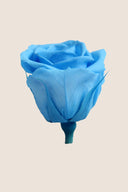 Rose Mini Bulk - Pack 288 u.