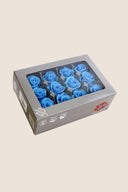 Rose Mini - Box 12 heads