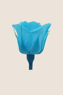 Rose Mini Bulk - Pack 288 u.