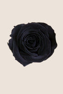 Rose Mini Bulk - Pack 288 u.