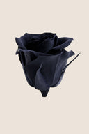 Rose Mini Bulk - Pack 288 u.