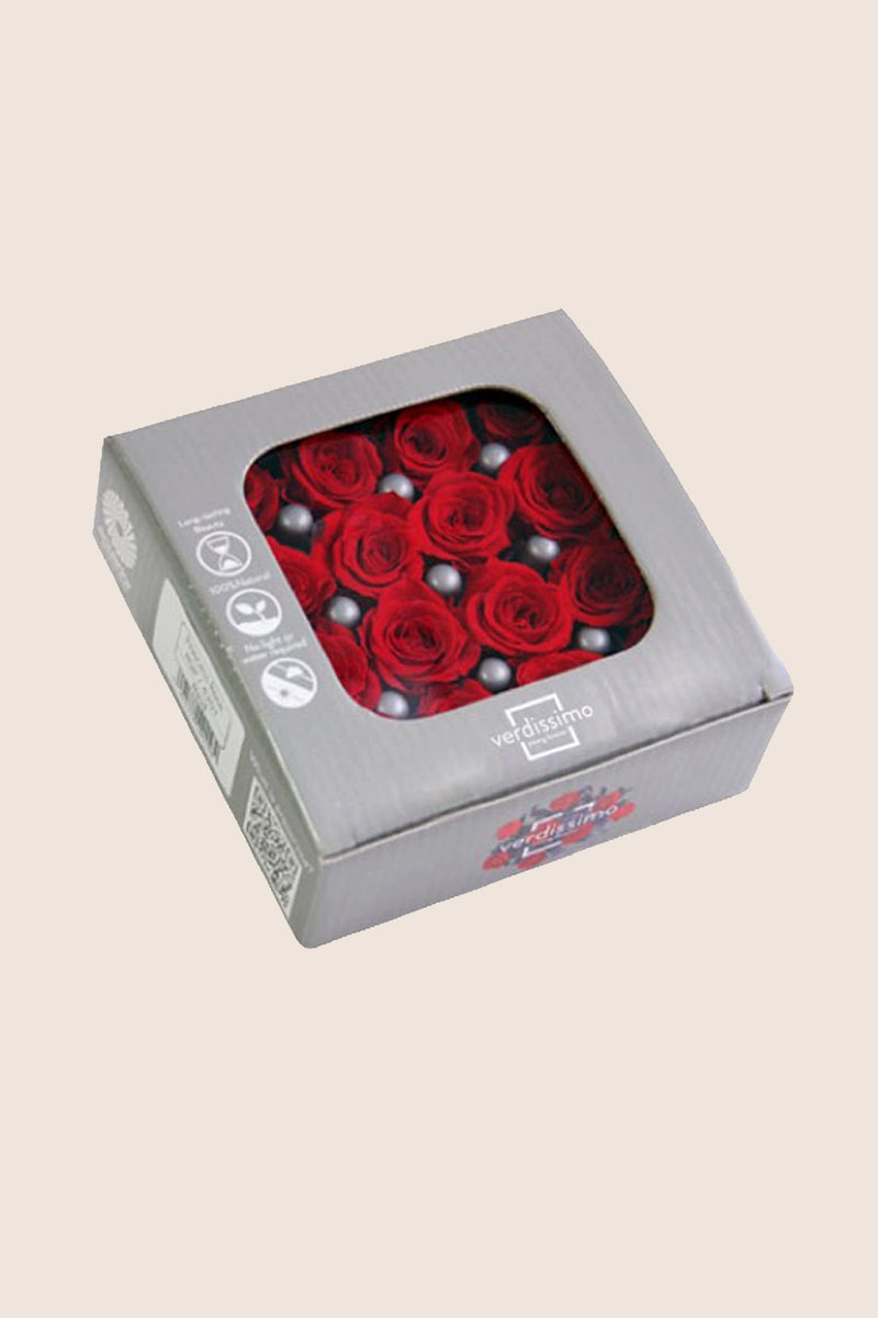 Rose Princess - Box of 16 Heads