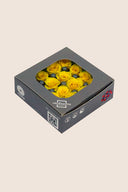 Rose Princess - Box 16 heads