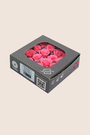 Rose Princess - Box 16 heads