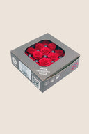 Rose Princess - Box 16 heads
