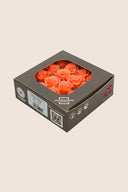 Rose Princess - Box 16 heads