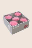 Rose Queen - Box 5 heads