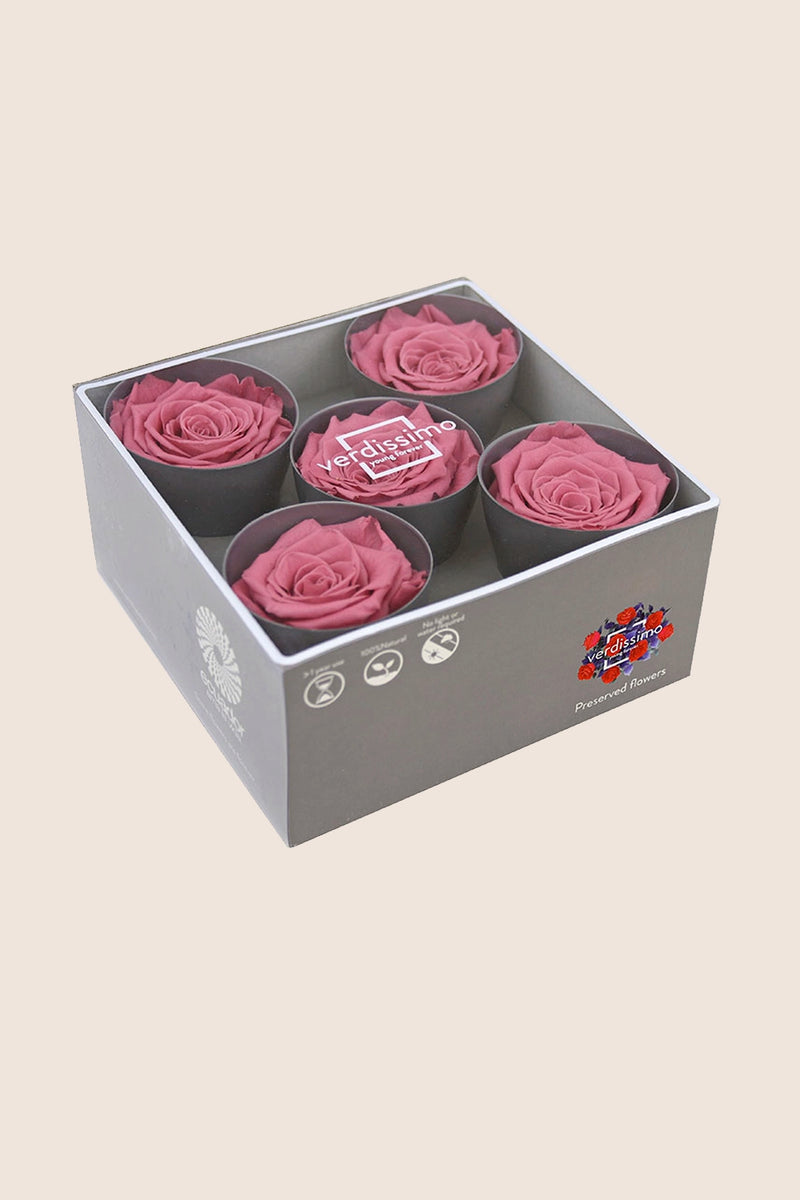 Rose Queen - Box 5 heads